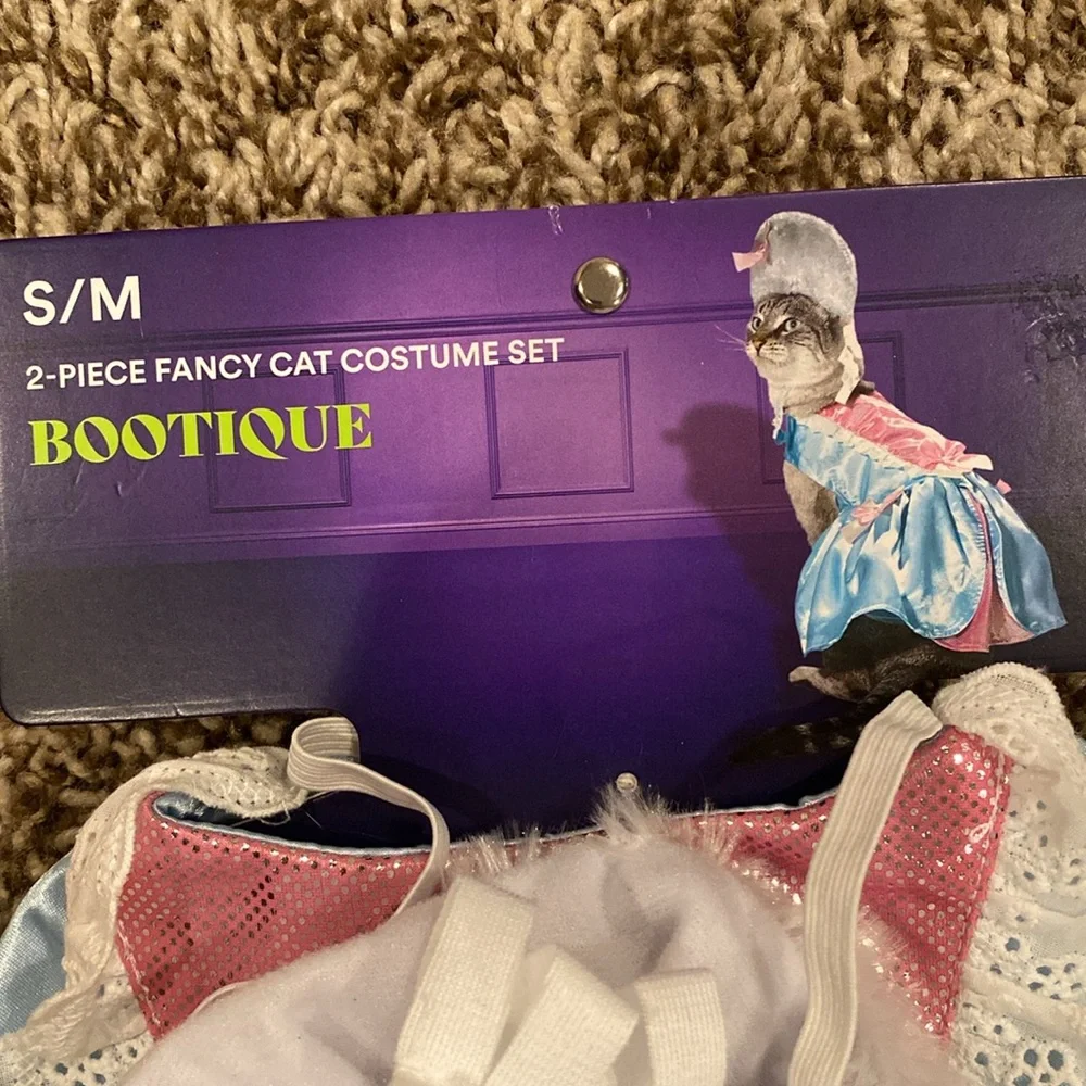 Fancy cat costume